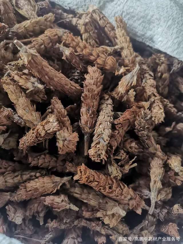 探秘亳州中藥材批發(fā)市場 傳統(tǒng)與創(chuàng)新的交匯之地