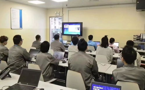 惠企助發展 商務區擦亮“金雞湖服務”品牌，深化商務咨詢服務新篇章